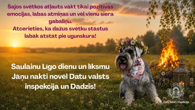DVI biroja suns Dadzis ar ziedu vainagu pozē pļavā pie Jāņu ugunskura saulrietā. Attēlā ietverts Datu valsts inspekcijas Līgo svētku sveiciens