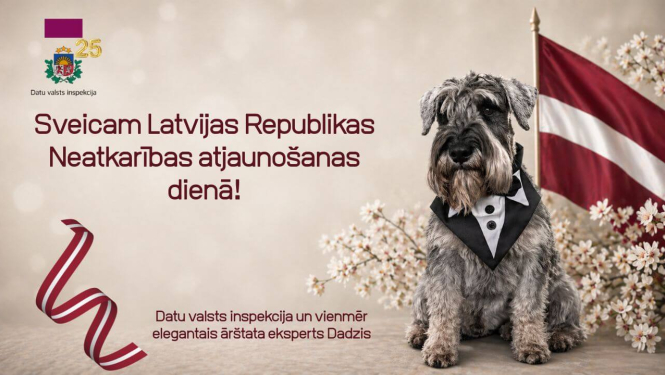 Datu valsts inspekcijas sveiciens Latvijas Republikas Neatkarības atjaunošanas dienā – uz svētku fona ar Latvijas karogu redzams eleganti sapucēts suns, blakus teksts ar apsveikumu.
