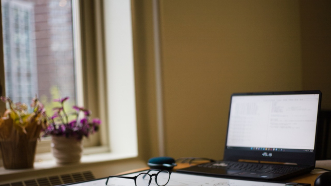 Dzīvoklis, dators, augi