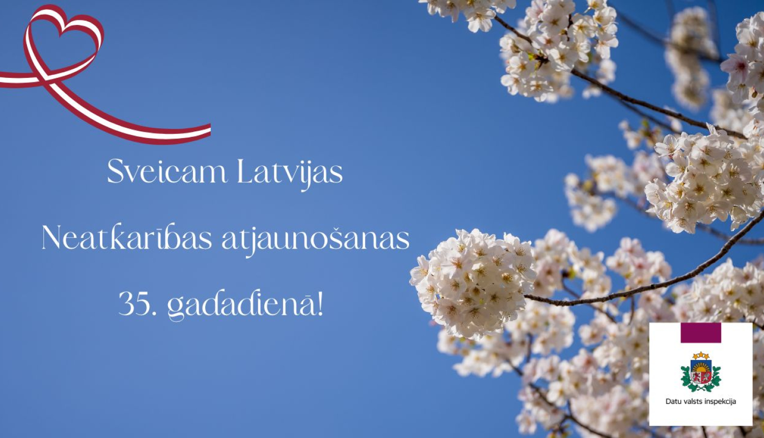 Ābeļziedi uz zila fona. Sveiciens LR Neatkarības atjaunošanas gadadienā.