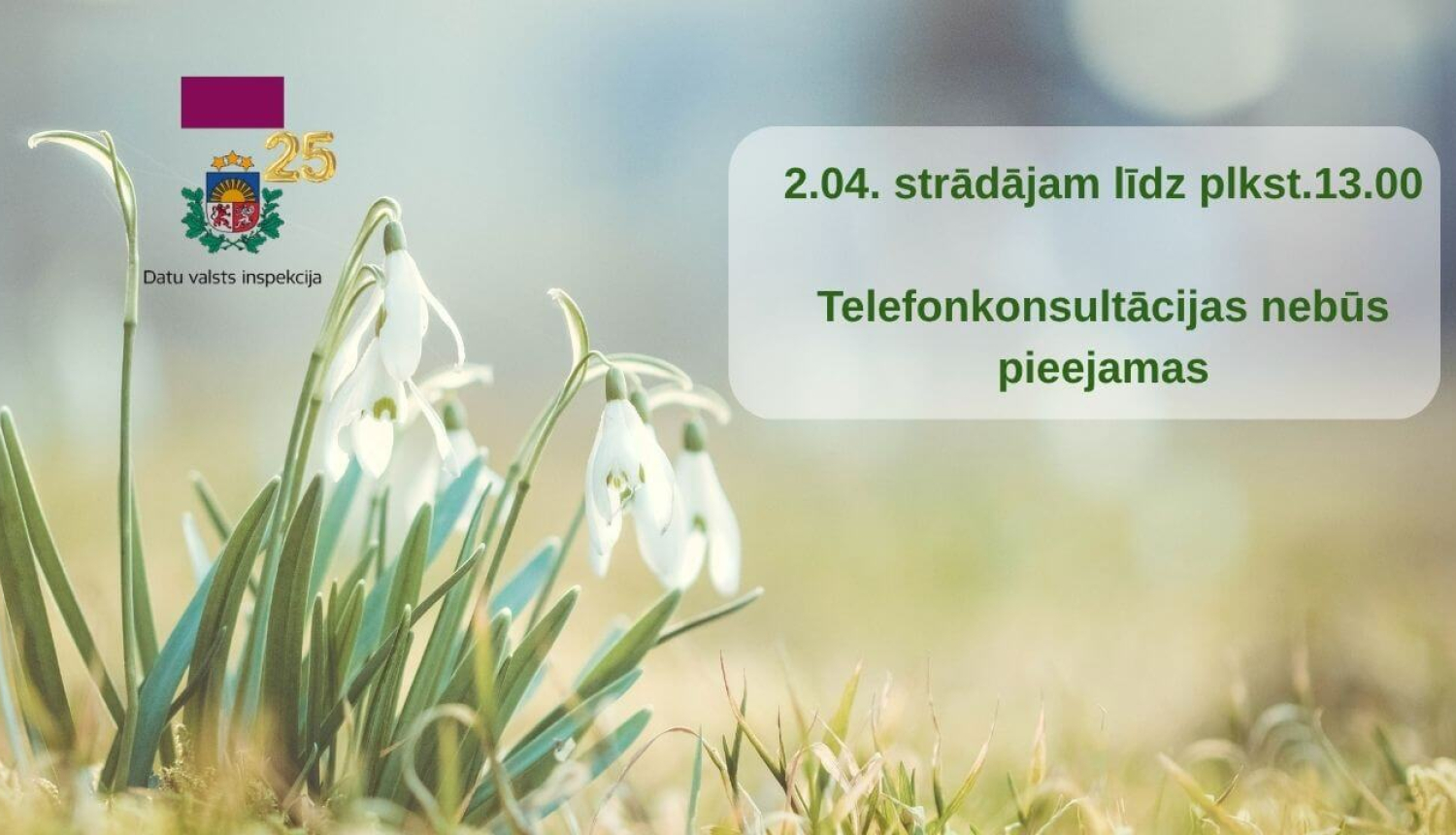 Zaļganā pavasara fonā redzamas baltas sniegpulkstenītes ziedos. Attēla labajā pusē teksts informē par Datu valsts inspekcijas darba laiku – 2. aprīlī līdz plkst. 13.00