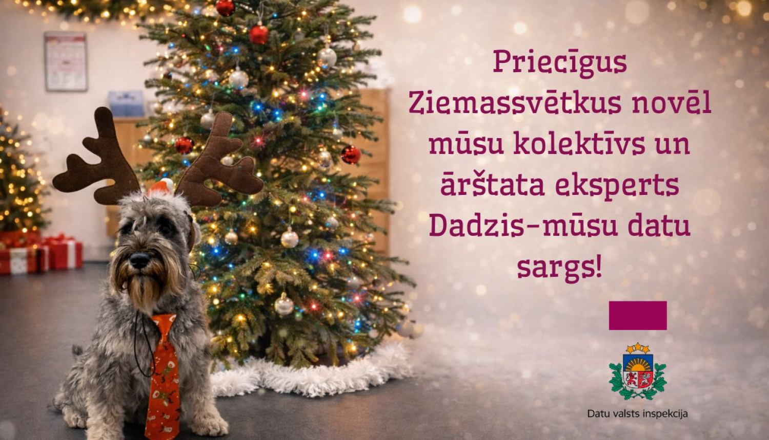 Pelēks suns Dadzis ar ziemeļbrieža ragiem un svētku kaklasaiti sēž pie izrotātas Ziemassvētku eglītes. Attēlā redzams Ziemassvētku apsveikuma teksts un Datu valsts inspekcijas logotips.